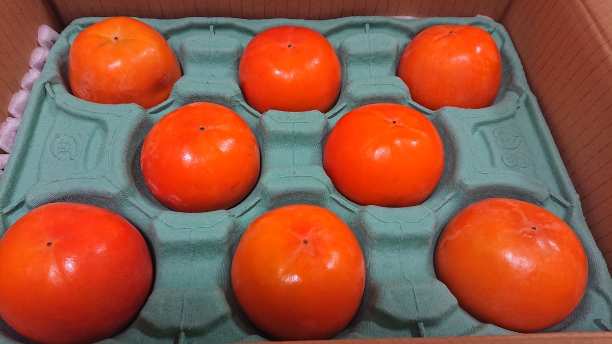 f:id:himenokuni77:20201121155941j:plain