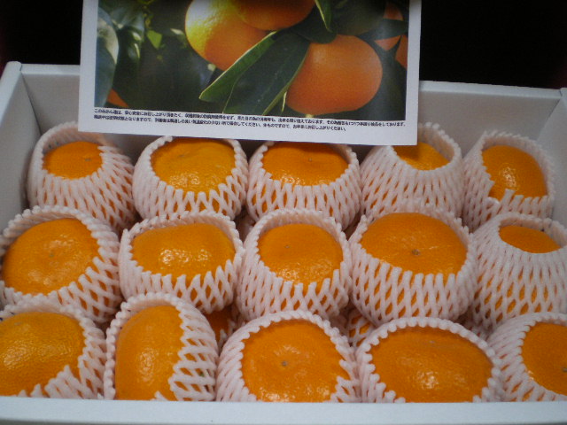 f:id:himenokuni77:20201220120336j:plain