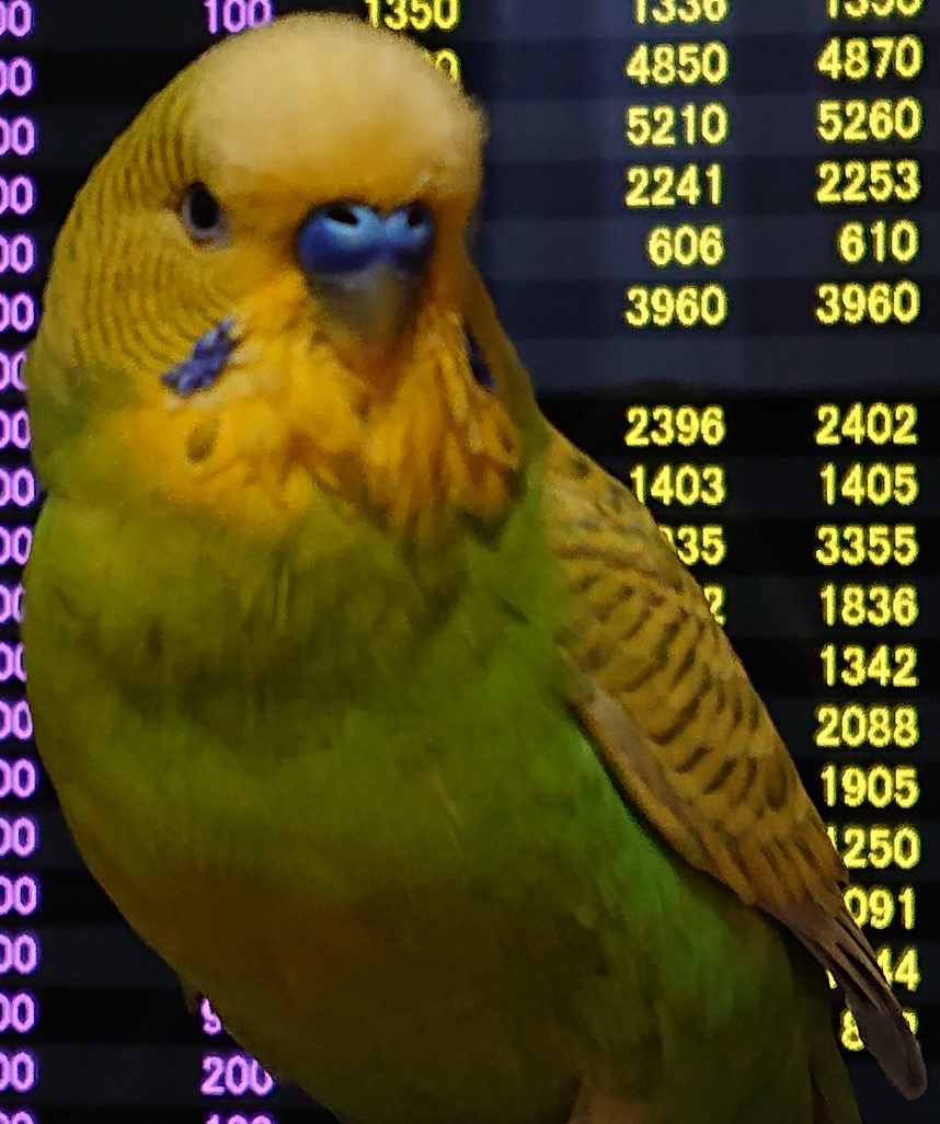 f:id:himenokuni77:20210917153604j:plain