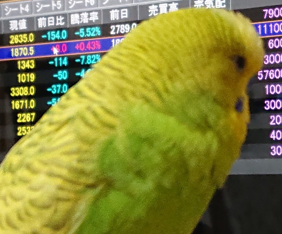 f:id:himenokuni77:20220127172035j:plain