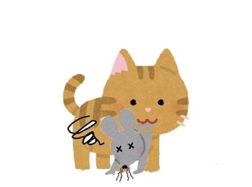 【猫って猫舌?】猫舌を英語で言うと何という?猫舌になる理由と克服法 - 猫と暮らせば