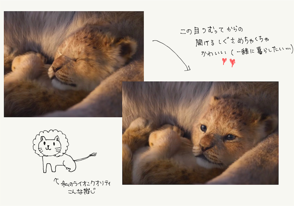 f:id:himerome213:20190830190810p:image f:id:himerome213:20190830190810p:image