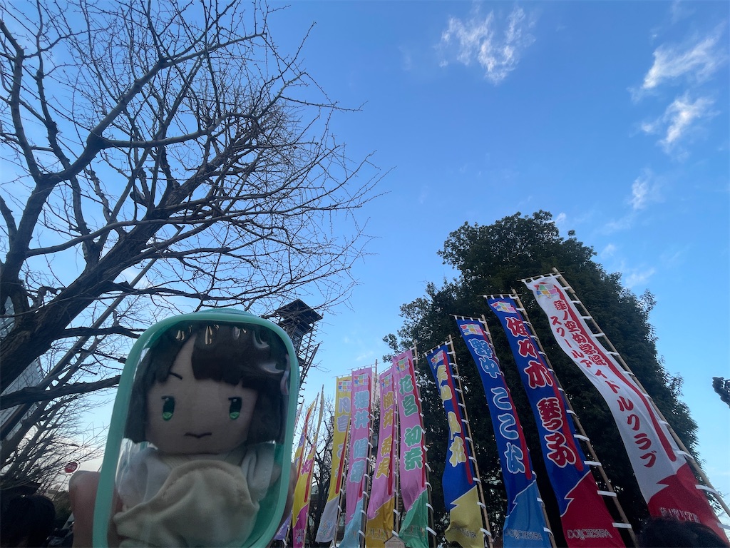 f:id:himetsubaki10984:20241231200906j:image
