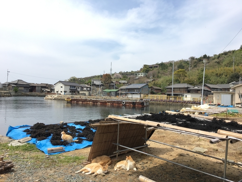 海の村