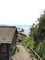 猫島　歩き
