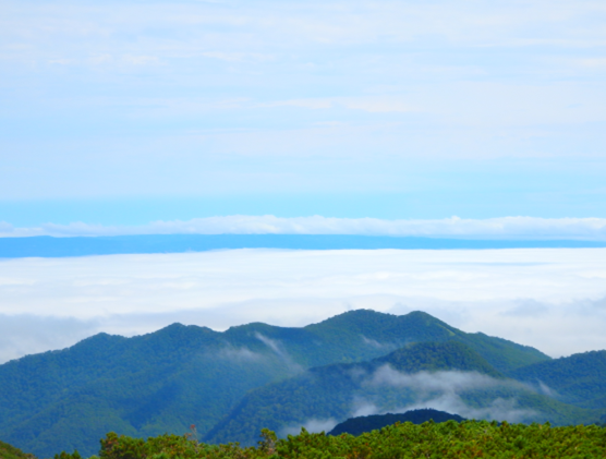 知床の山