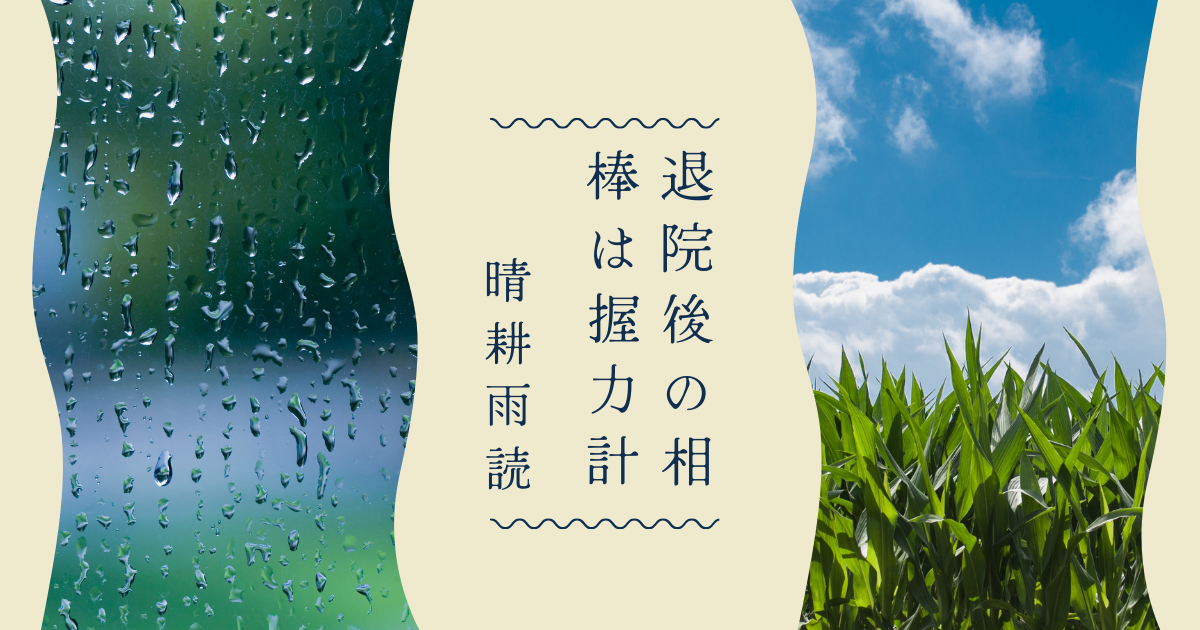 f:id:himiko76:20211129180855p:plain