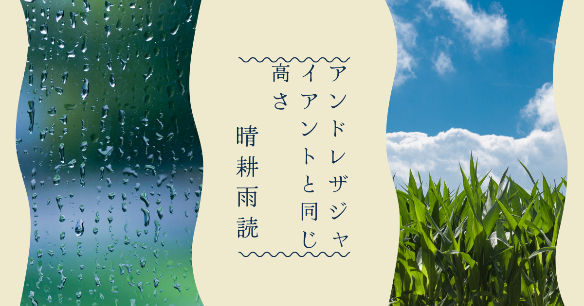 f:id:himiko76:20211130185503p:plain