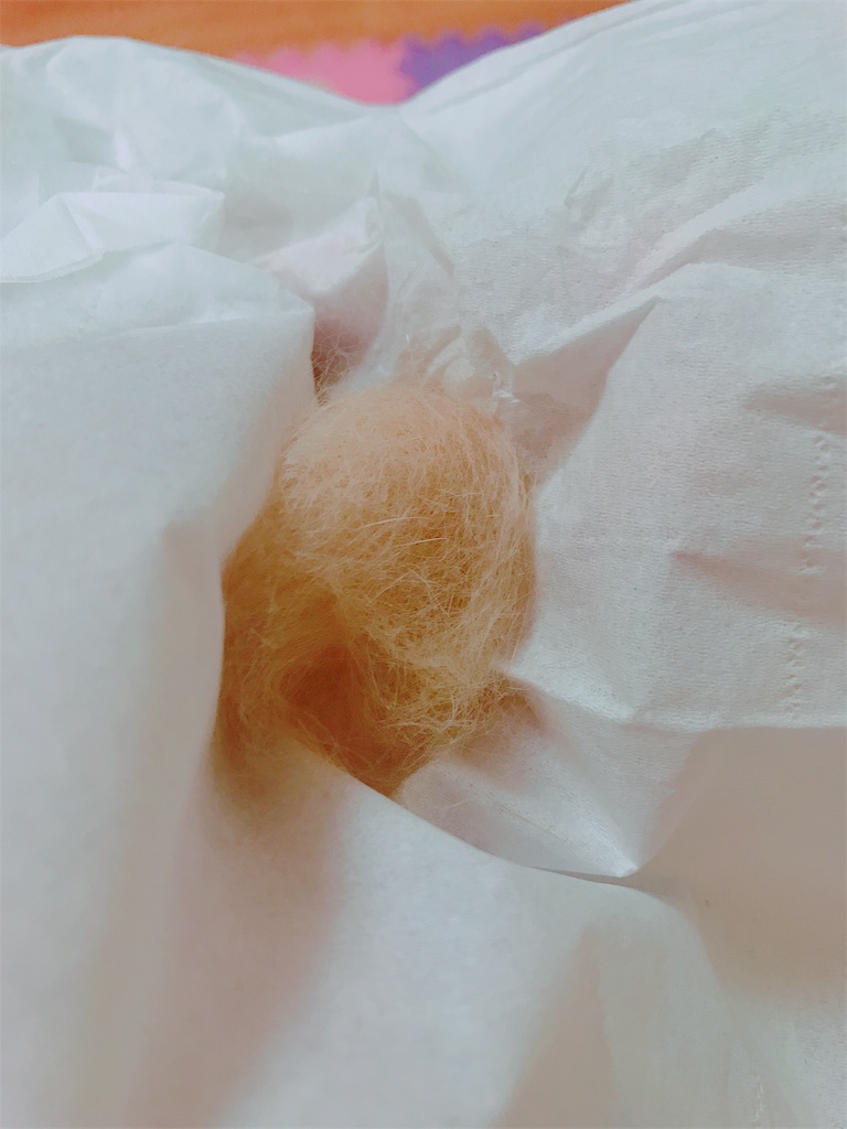 f:id:himitsunohana:20190413212143j:image