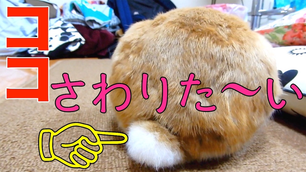 f:id:himitsunohana:20190509070407j:plain