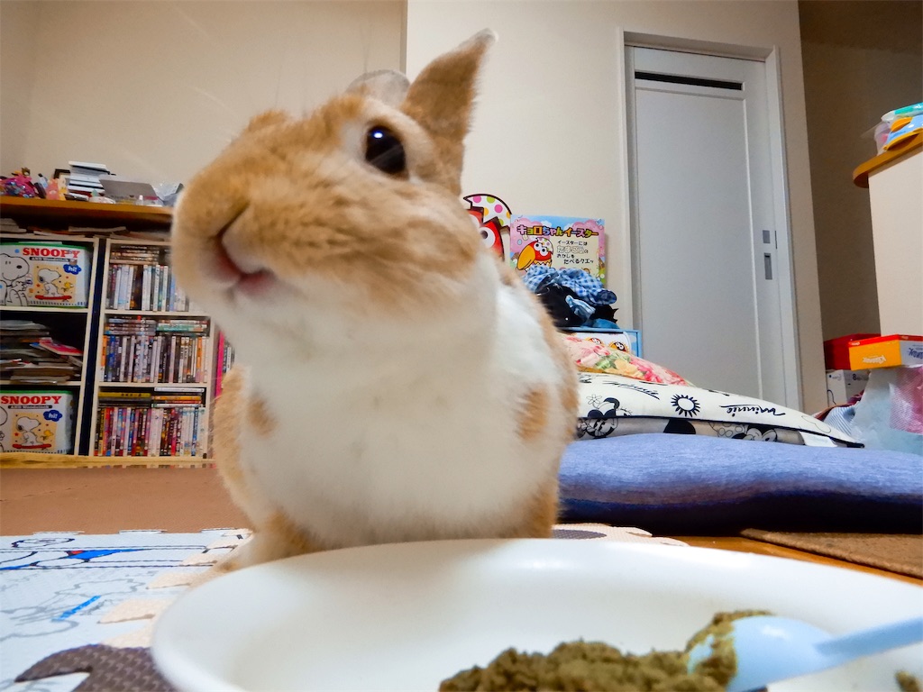 f:id:himitsunohana:20190609220221j:image
