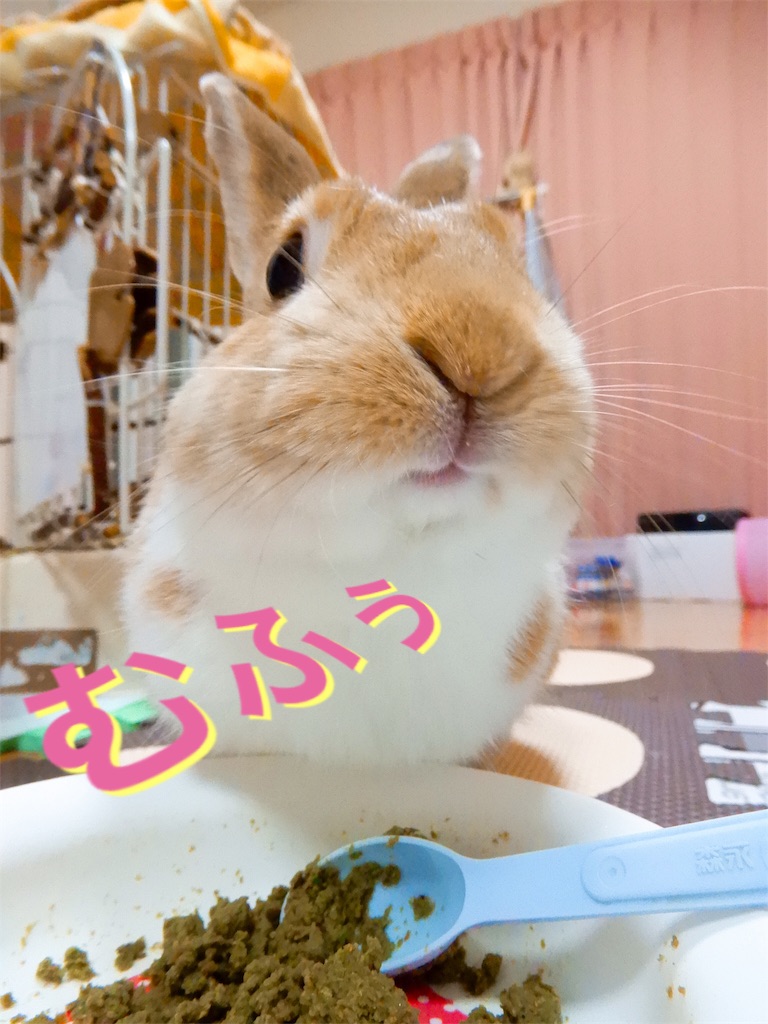f:id:himitsunohana:20190609220332j:image