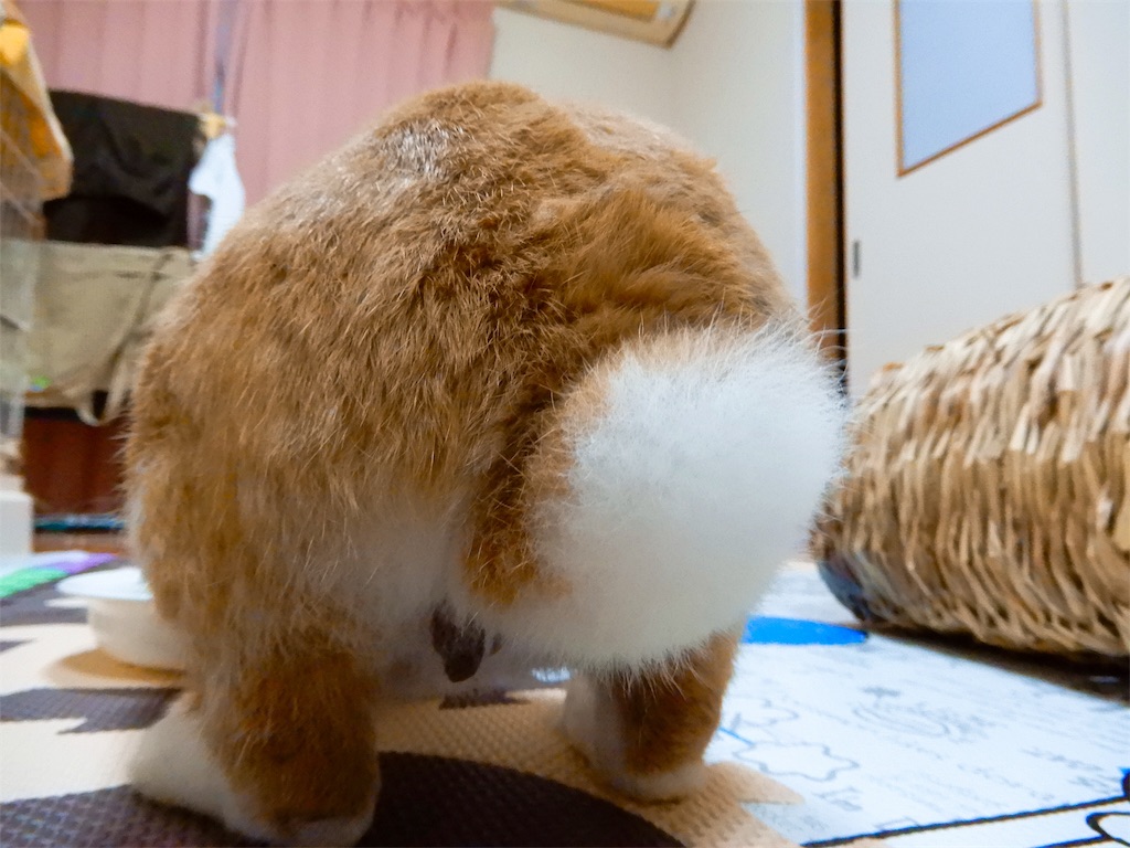 f:id:himitsunohana:20190609220404j:image