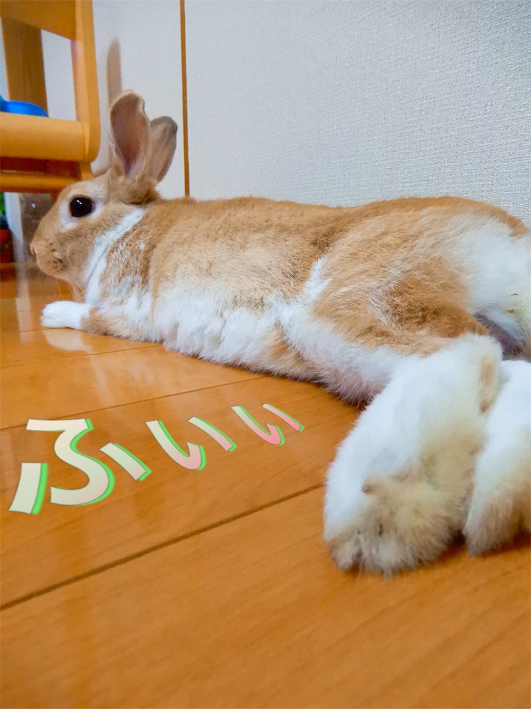 f:id:himitsunohana:20190701195738j:image