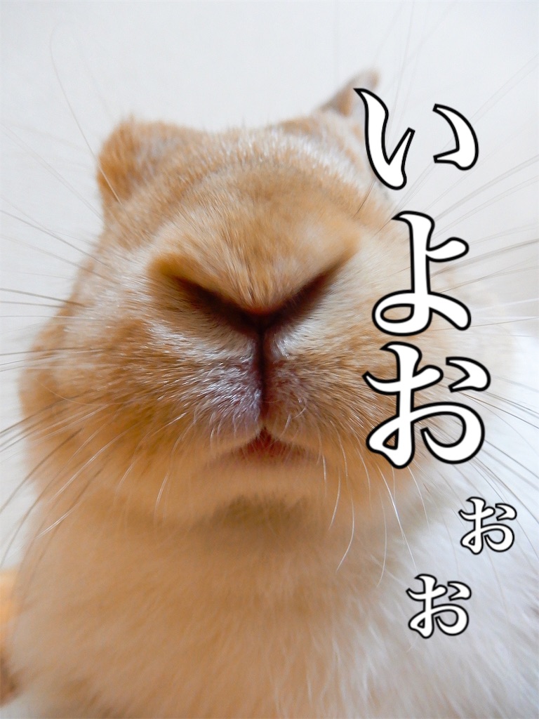f:id:himitsunohana:20190723122526j:image