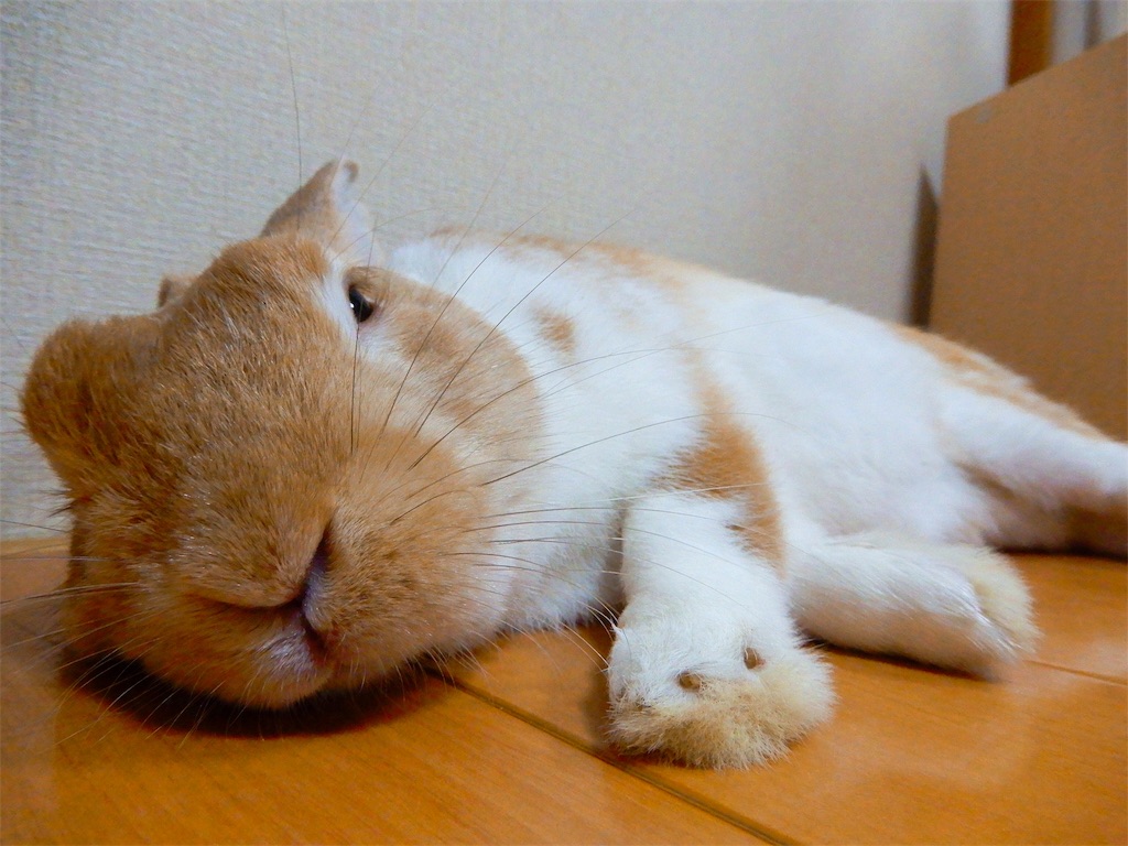 f:id:himitsunohana:20190727214421j:plain