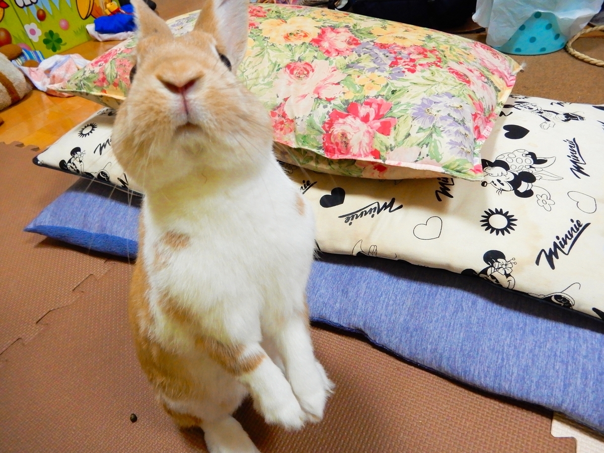 f:id:himitsunohana:20190910185824j:plain