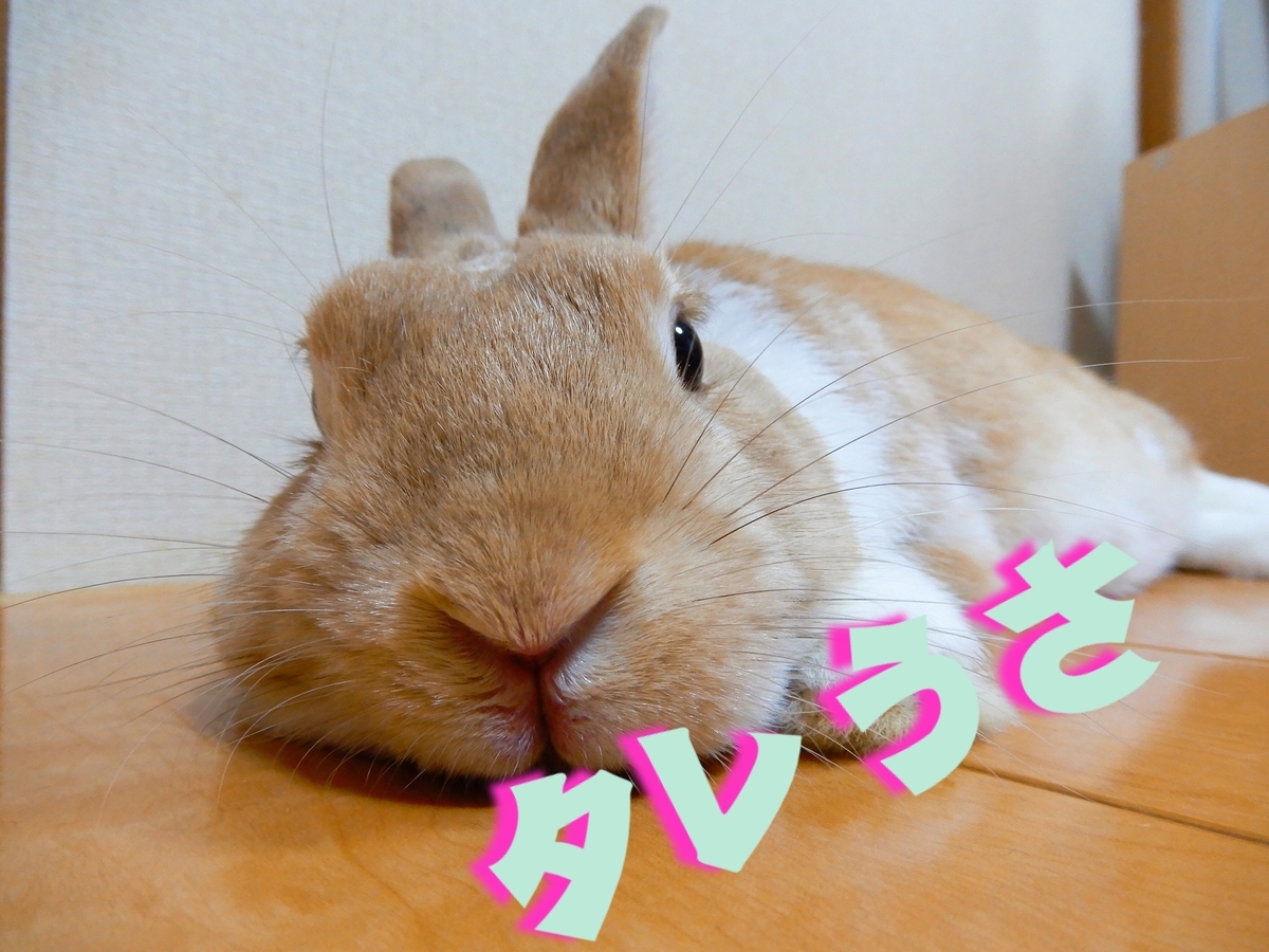 f:id:himitsunohana:20191029175505j:plain