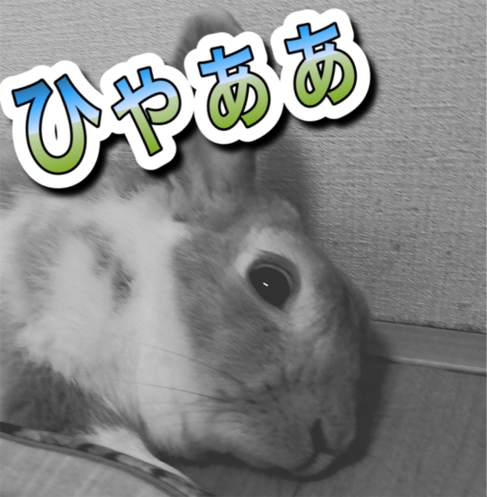 f:id:himitsunohana:20200529200938j:image