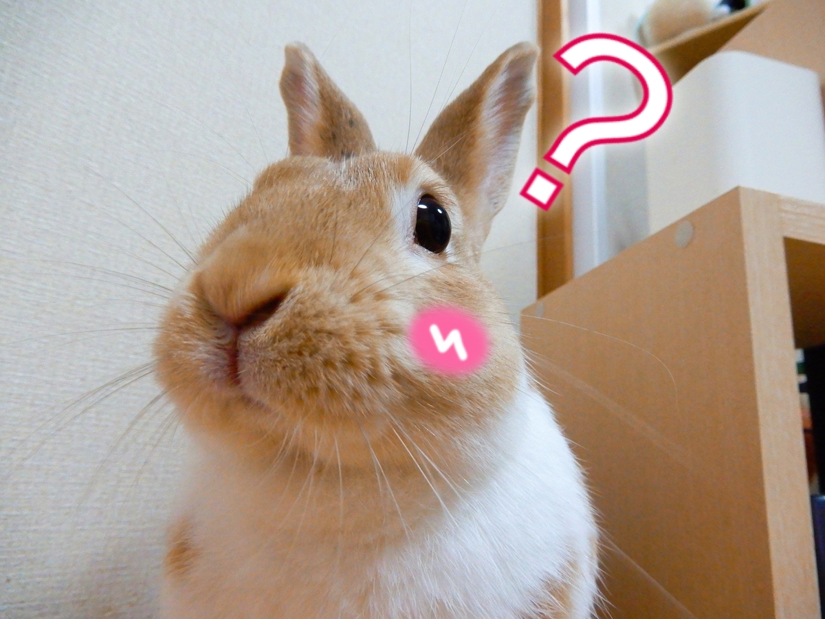 f:id:himitsunohana:20200612155506j:plain