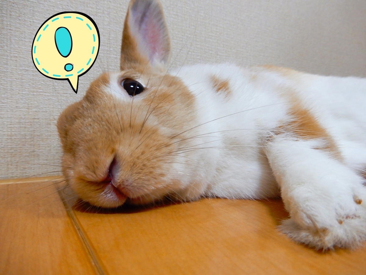 f:id:himitsunohana:20200619081851j:plain