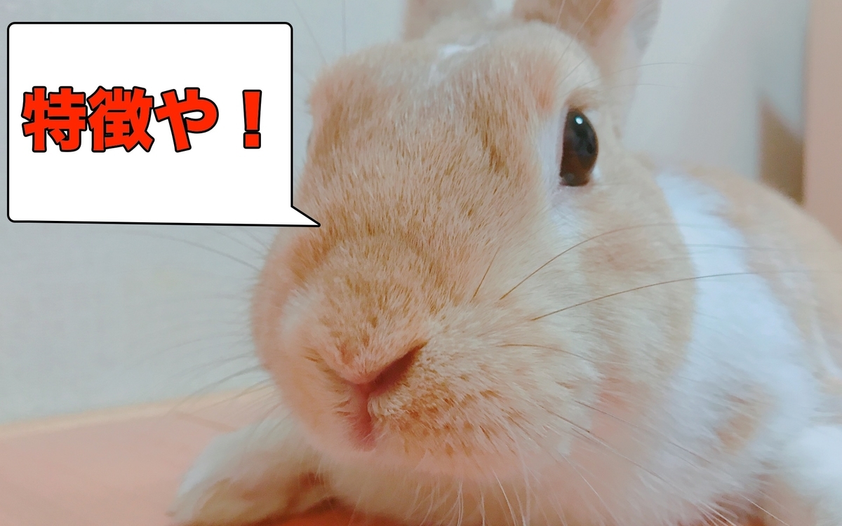 f:id:himitsunohana:20200818084801j:plain