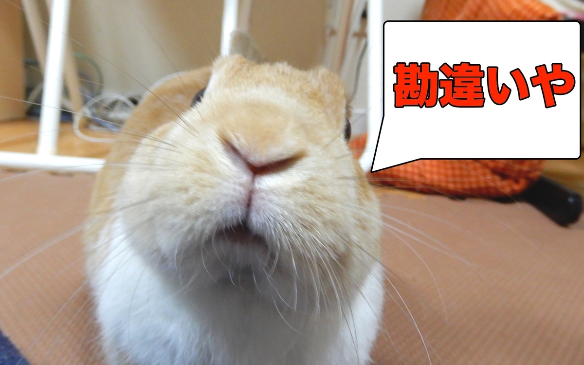 f:id:himitsunohana:20200818085659j:plain