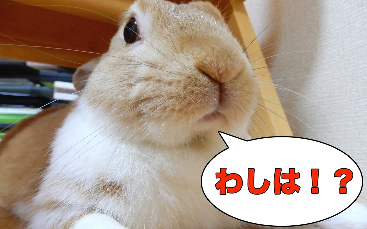 f:id:himitsunohana:20200821192348j:plain