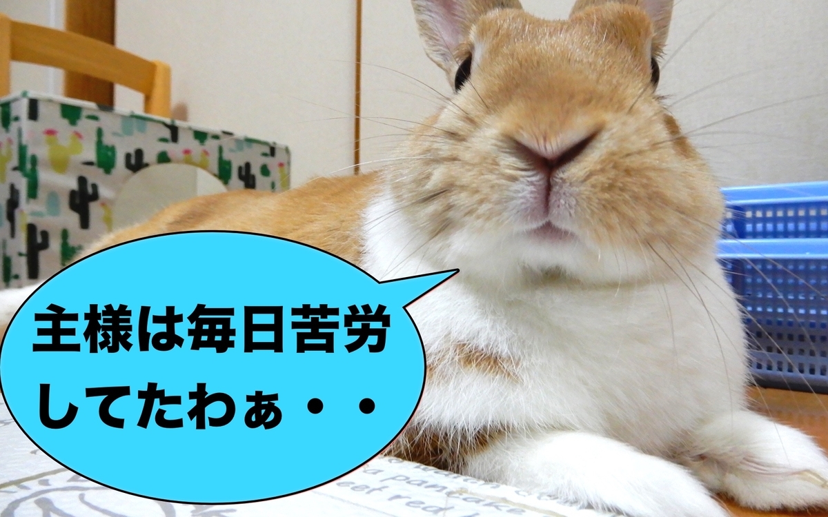 f:id:himitsunohana:20200908195418j:plain