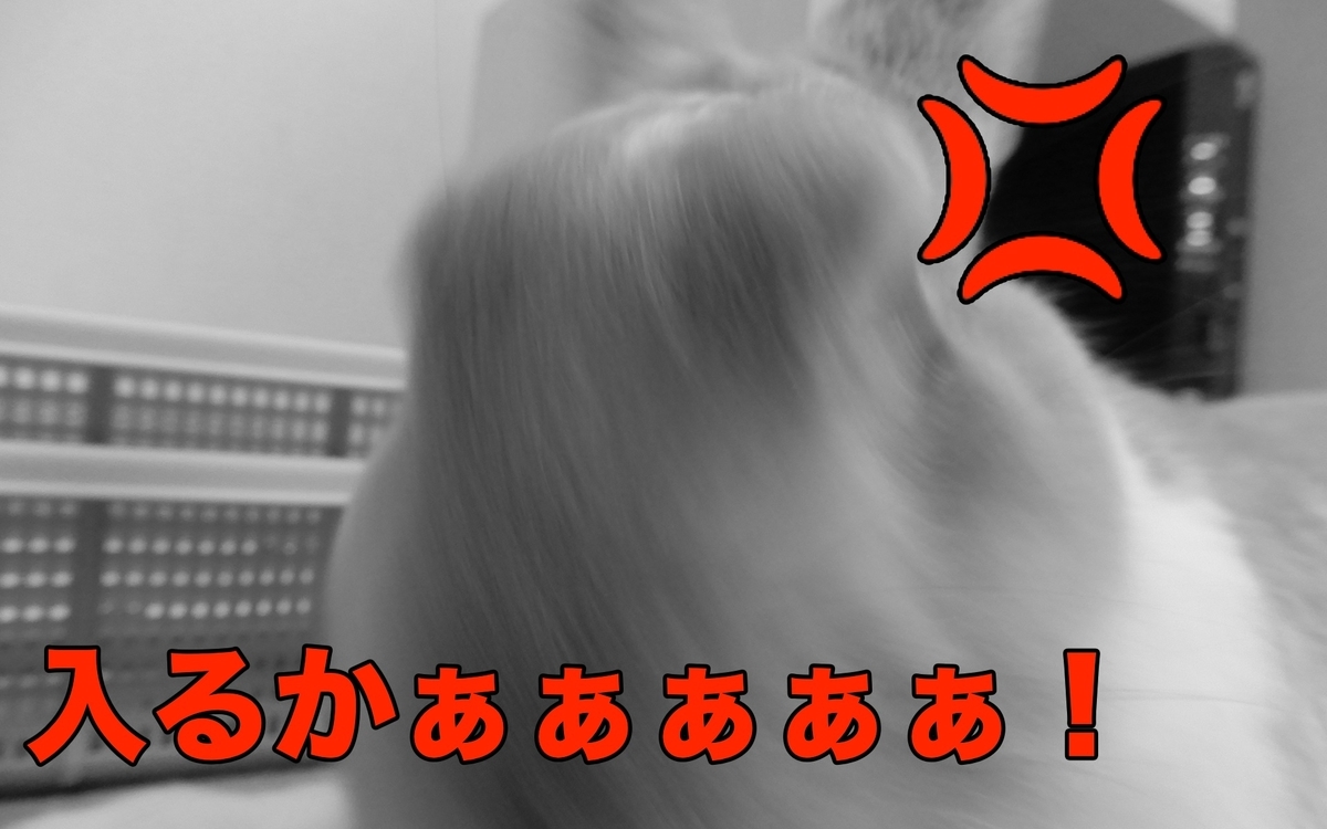 f:id:himitsunohana:20200908200135j:plain