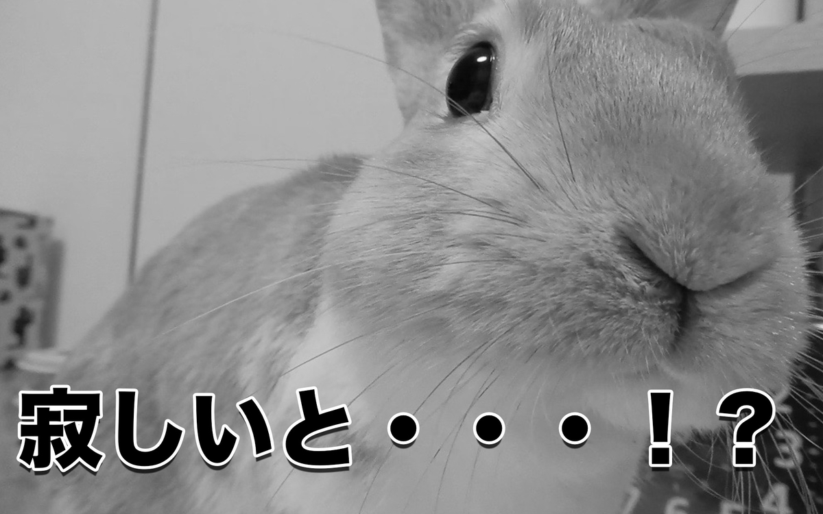 f:id:himitsunohana:20201006134806j:plain