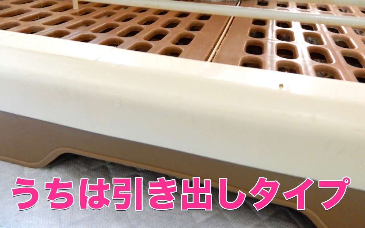 f:id:himitsunohana:20201027163518j:plain