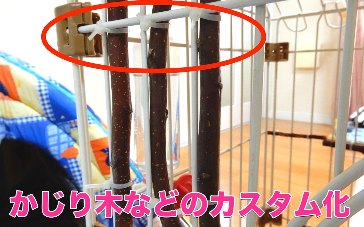 f:id:himitsunohana:20201027164207j:plain