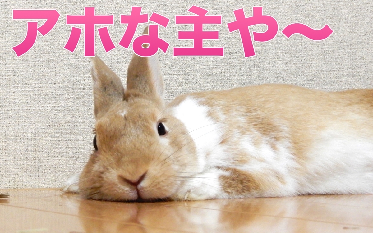 f:id:himitsunohana:20201109202213j:plain