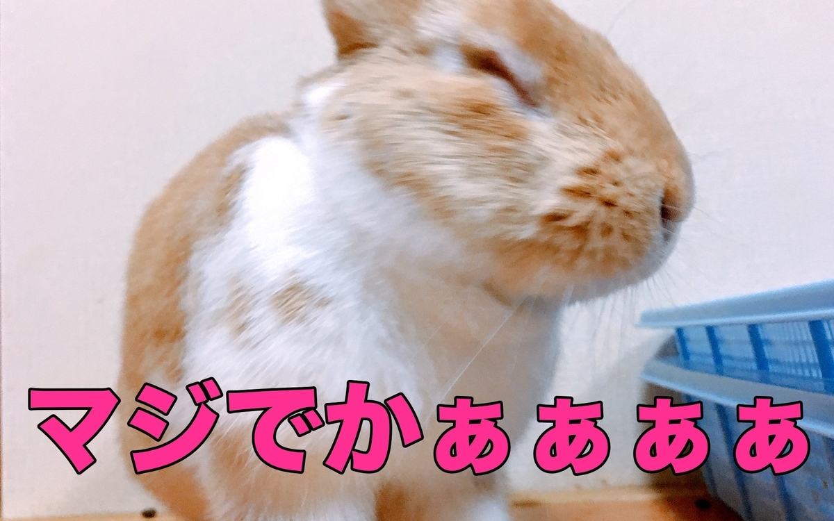 f:id:himitsunohana:20201229081041j:plain