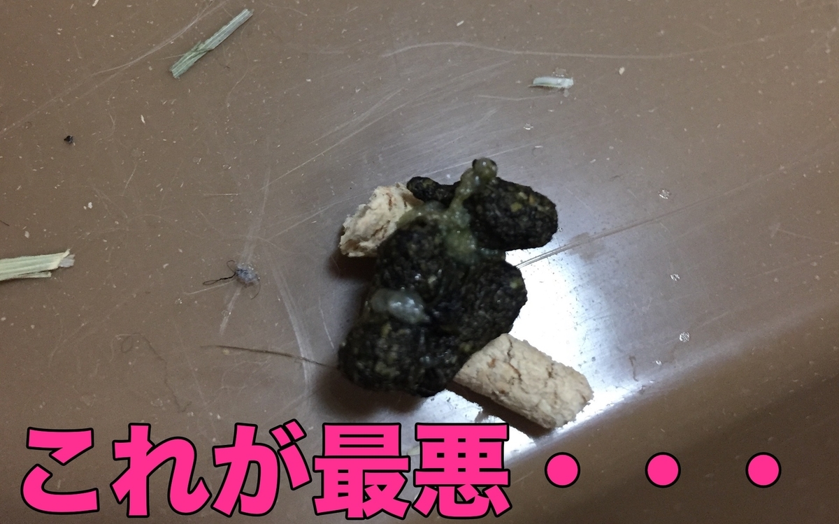 f:id:himitsunohana:20201229082317j:plain