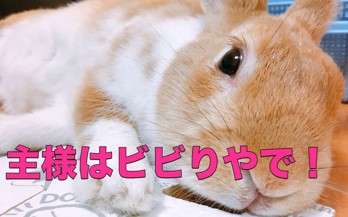 f:id:himitsunohana:20210209173531j:plain