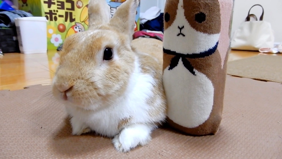 f:id:himitsunohana:20210824172006j:plain