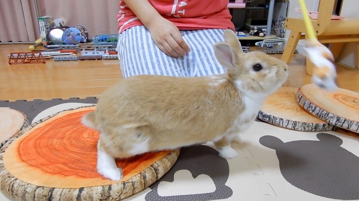 f:id:himitsunohana:20210828092804j:plain