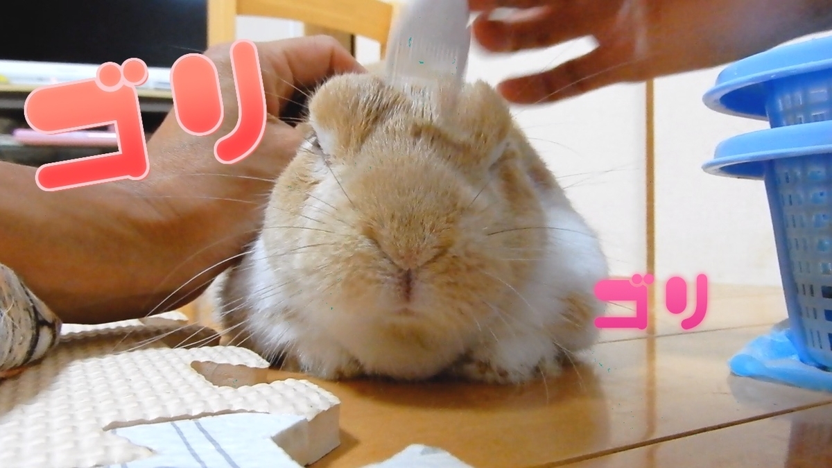 f:id:himitsunohana:20210905082220j:plain