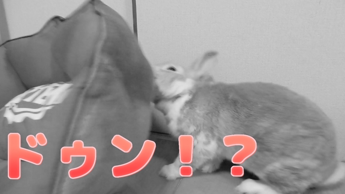 f:id:himitsunohana:20210921145555j:plain