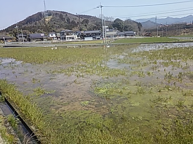 f:id:himitunokobeya:20200327094247j:plain f:id:himitunokobeya:20200327094247j:plain