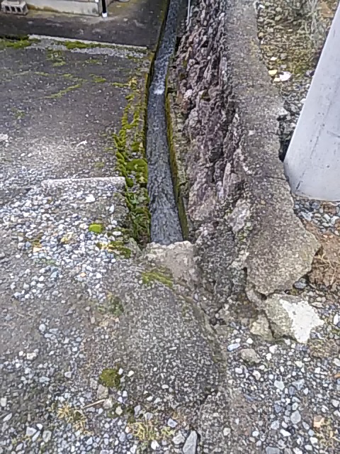 f:id:himitunokobeya:20200328143452j:plain