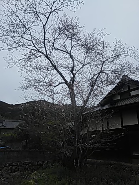 f:id:himitunokobeya:20200331112239j:plain