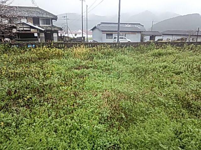 f:id:himitunokobeya:20200402092430j:plain