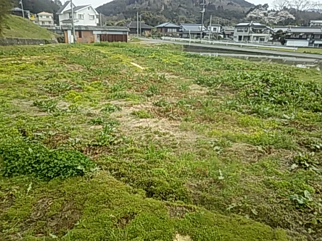 f:id:himitunokobeya:20200404100135j:plain