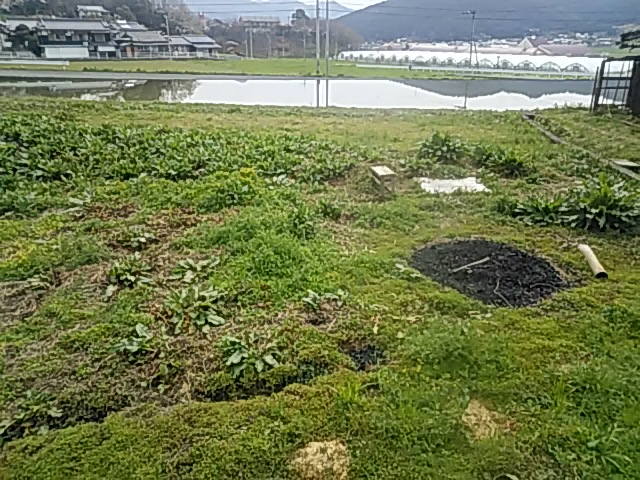 f:id:himitunokobeya:20200404100146j:plain