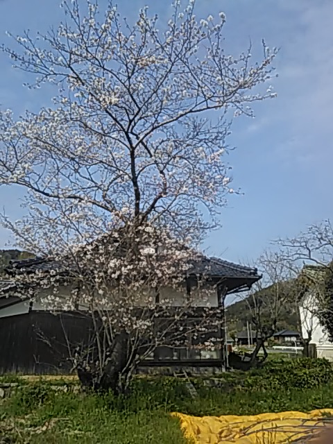 f:id:himitunokobeya:20200404101906j:plain