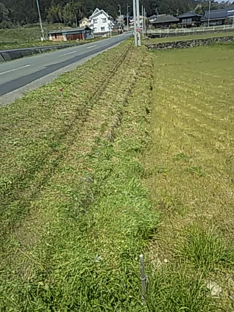 f:id:himitunokobeya:20200405094820j:plain