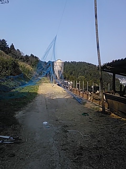 f:id:himitunokobeya:20200410115049j:plain